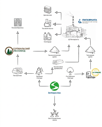 О компании